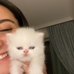 asya ulusoy